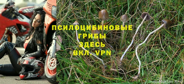 МДПВ Заволжск
