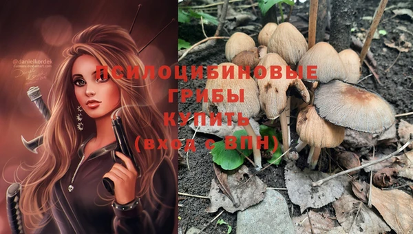 соль курить ск Заводоуковск
