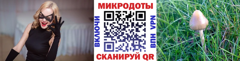 Галлюциногенные грибы прущие грибы  hydra ССЫЛКА  Канск 