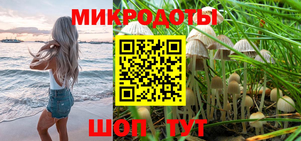 дарнет шоп  Вход с VPN  Канск  Галлюциногенные грибы Cubensis 